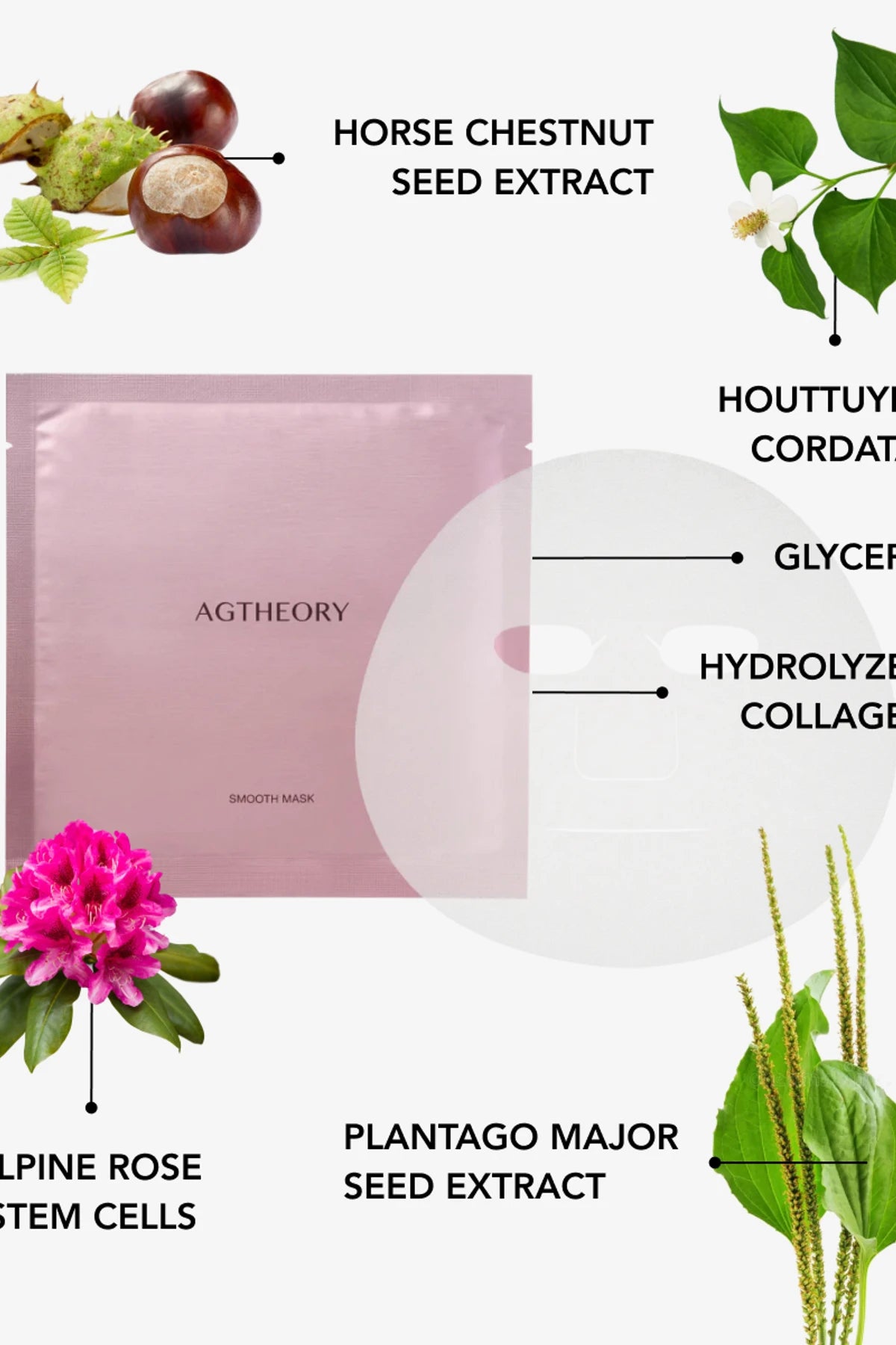 AXXZIA AGTHEORY Smooth Face Mask
