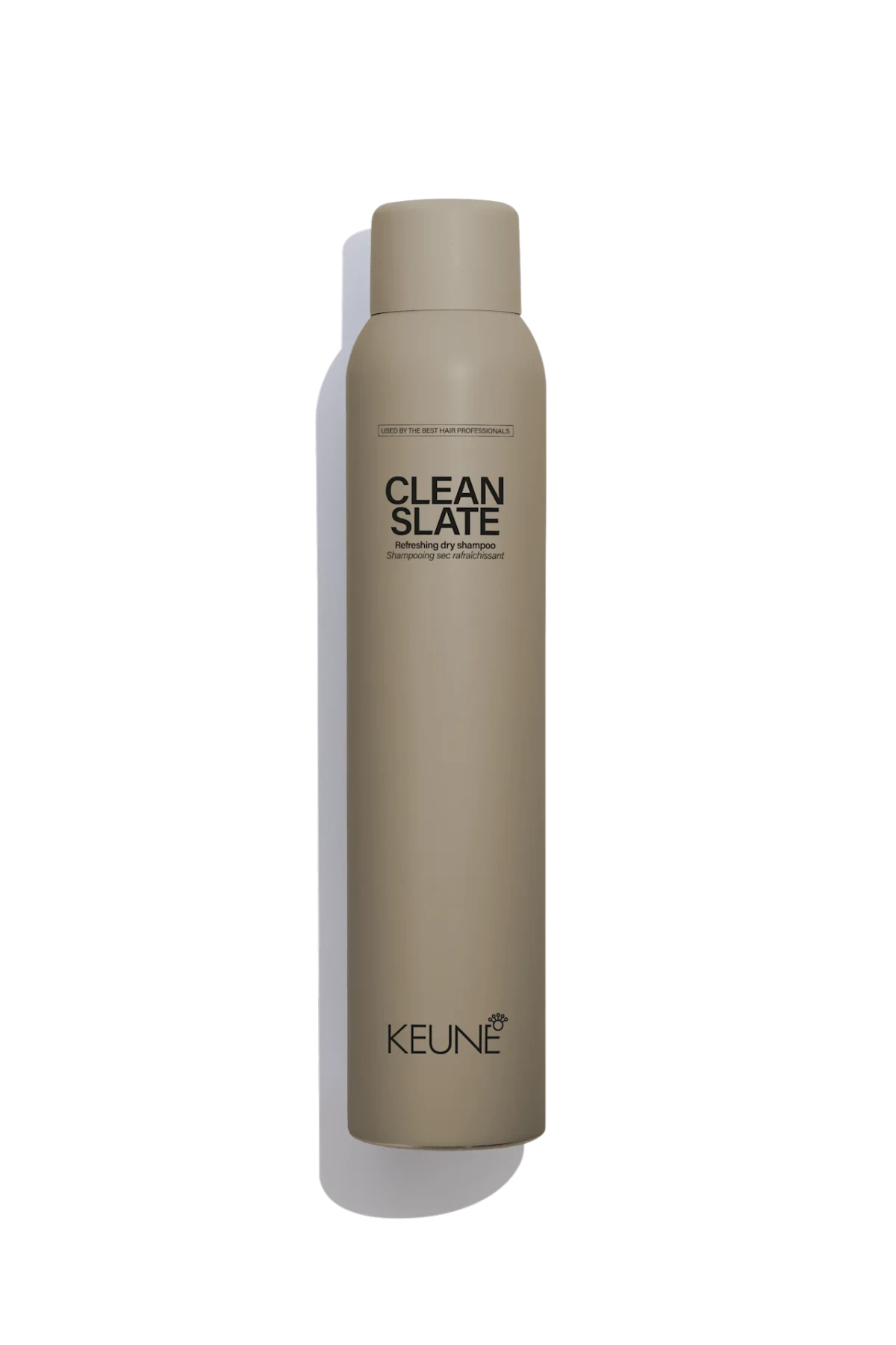 Clean Slate DRY SHAMPOO