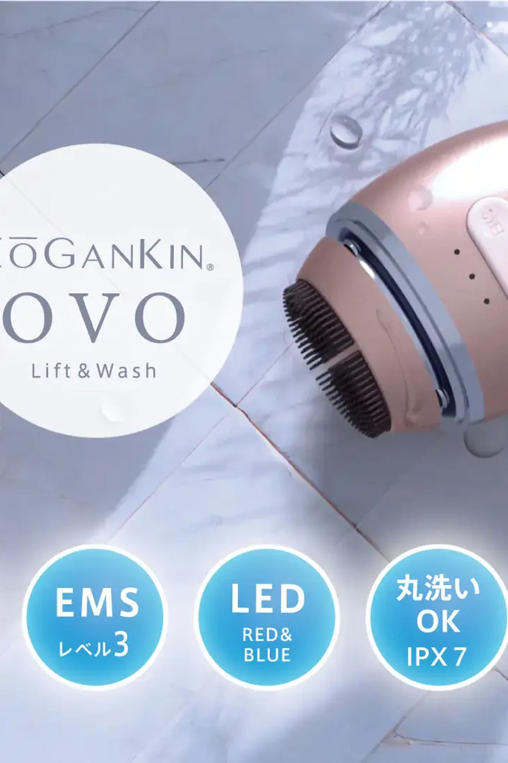 Couleur Labo ZoGankin OVO