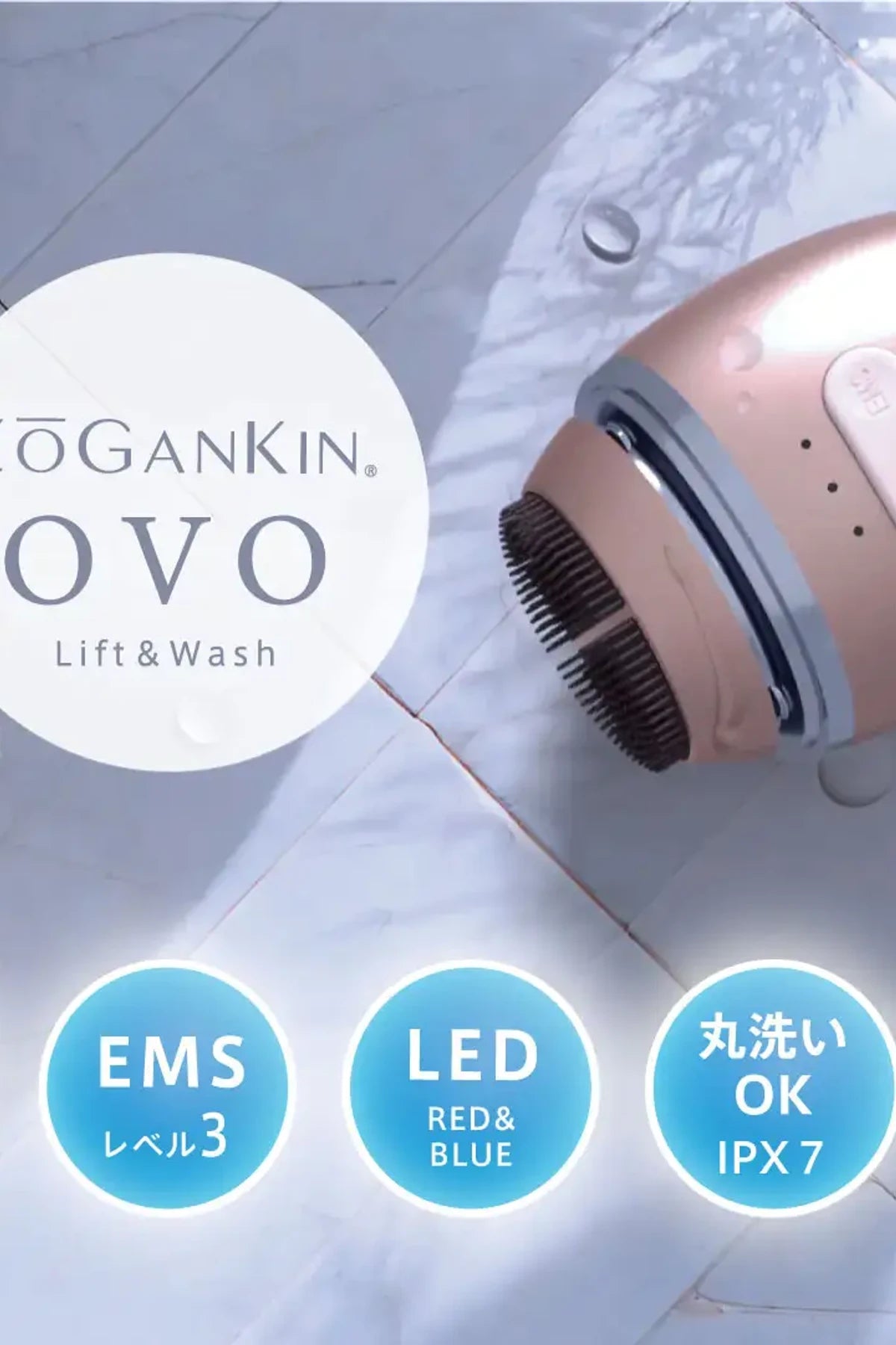 Couleur Labo ZoGankin OVO